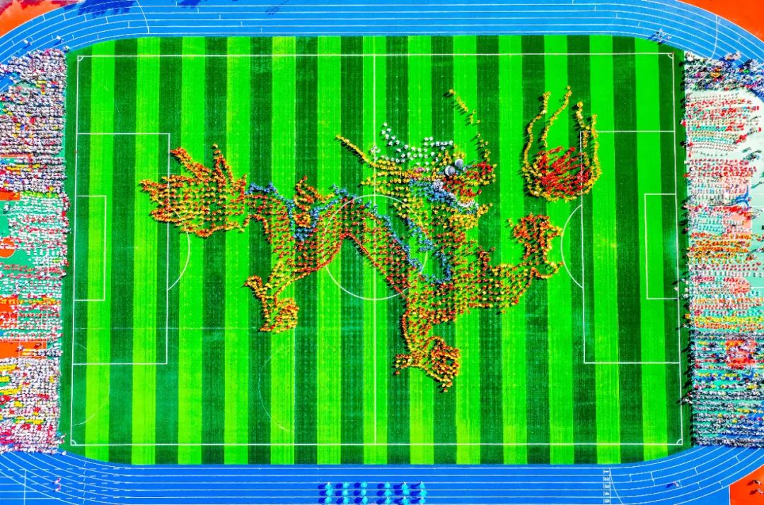 含“龙”量极高丨为明文化节开幕式有“亿”点好看